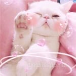 Avatar Nadia Carrillo